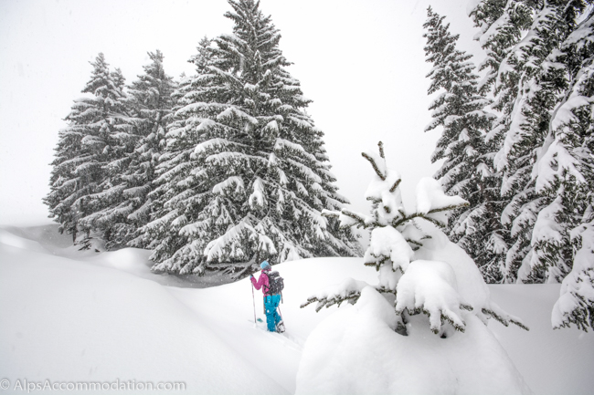 Ski Touring In A Winter Wonderland